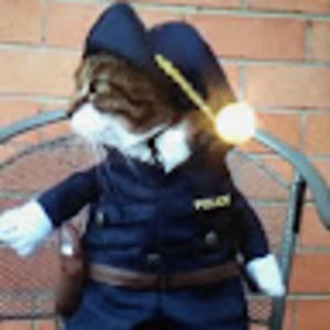 Meet your Posher, Luis